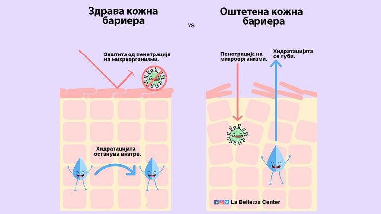 Кожна бариера: Зошто е важна и како да ја подобриме?